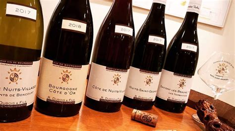 The Art of Winemaking in Burgundy's 8th Case: A Masterclass in Craftsmanship